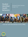 YRBS 2019 Summary Report