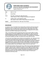 Staff Report - Ida B. Wells High School Mascot Renaming