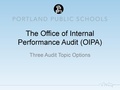 PDF of PP audit options