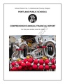 Comprehensive Annual Financial Report (CAFR) DRAFT 11.24.20